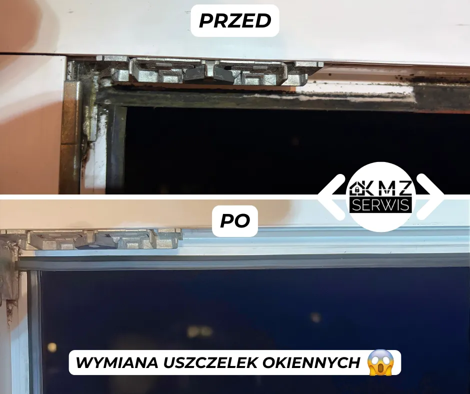 wymiana uszczelek grzyb
